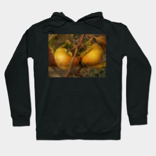 Persimmon Twins Hoodie